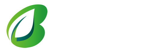 AB体育